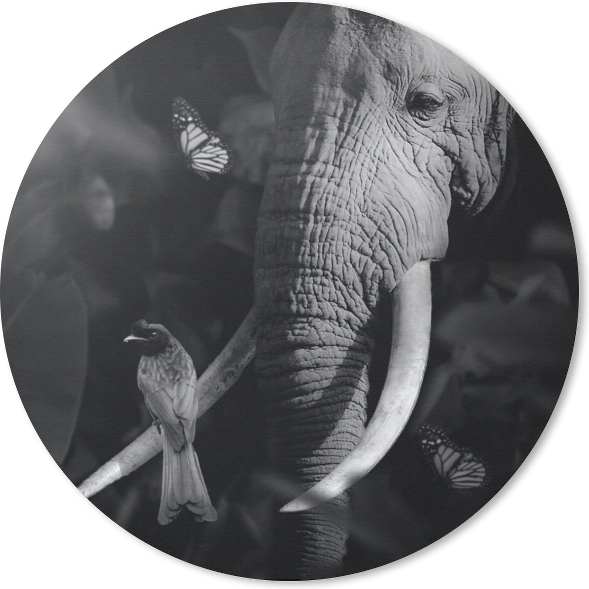 Muismat rond 20x20 cm - Mousepad Vogel - Olifant - Jungle - Zwart - Wit - Ronde muismatten