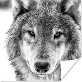 Affiche Loup en hiver en noir et blanc - 50x50 cm