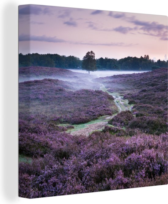 Tableau sur toile Brume dans la bruyère - 50x50 cm - Décoration murale