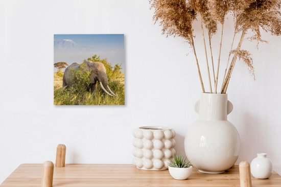 Tableau Toile Éléphant - Animaux - Herbe - Vert - Berg - 20x20 cm - Décoration Murale