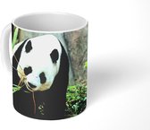 Mok - Koffiemok - Panda - Boomstam - Grot - Mokken - 350 ML - Beker - Koffiemokken - Theemok