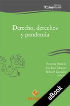Palestra Extramuros 19 - Derecho, derechos y pandemia