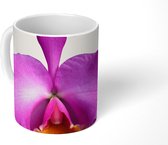 Mok - Close-up Orchidee - 350 ML - Beker