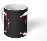 Mok - Twee flamingo's staan in het water - 350 ML - Beker