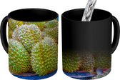 Magische Mok - Foto op Warmte Mok - De exotische fruit doerian te koop - 350 ML
