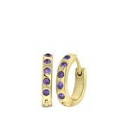 Stalen goldplated oorbellen geboortestenen