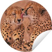 Tuincirkel Baby cheeta's - 90x90 cm - Ronde Tuinposter - Buiten