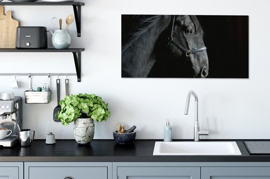 Toile Peinture Cheval - Zwart - Licol - 80x40 cm - Décoration murale