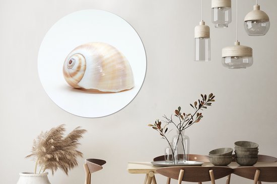 WallCircle - Peinture - Coquillage Animaux Spirale Et - Multicolore - 140 X 140 Cm