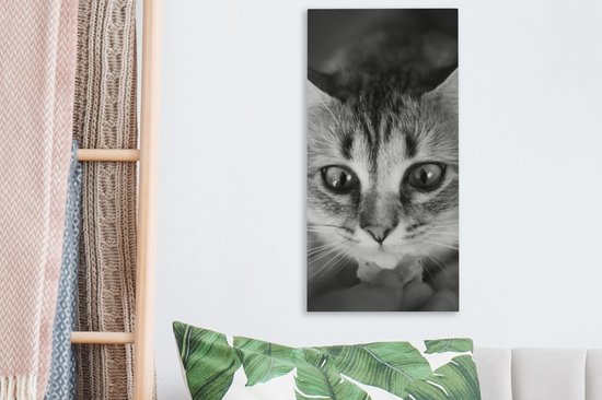 Tableau sur toile représentant un chat reniflant, de profil, en noir et blanc - 20 x 40 cm - Décoration murale