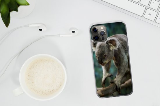 Coque iPhone 13 Pro - Koala - Arbre - Escalade - Siliconen - Sinterklaas - Noël - Cadeaux - Cadeaux chaussures