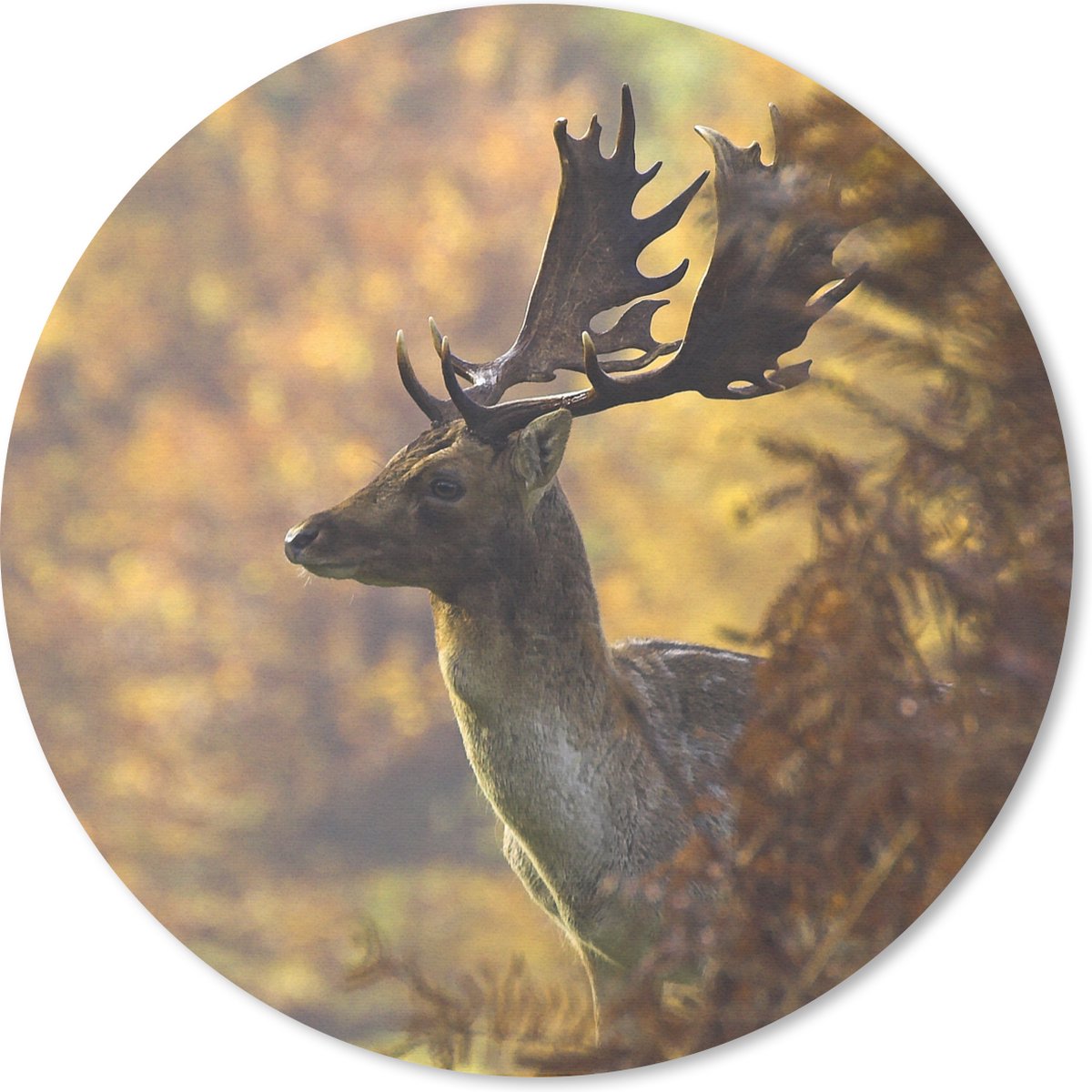 Muismat rond 50x50 cm - Mousepad Hert - Gewei - Herfst - Ronde muismatten