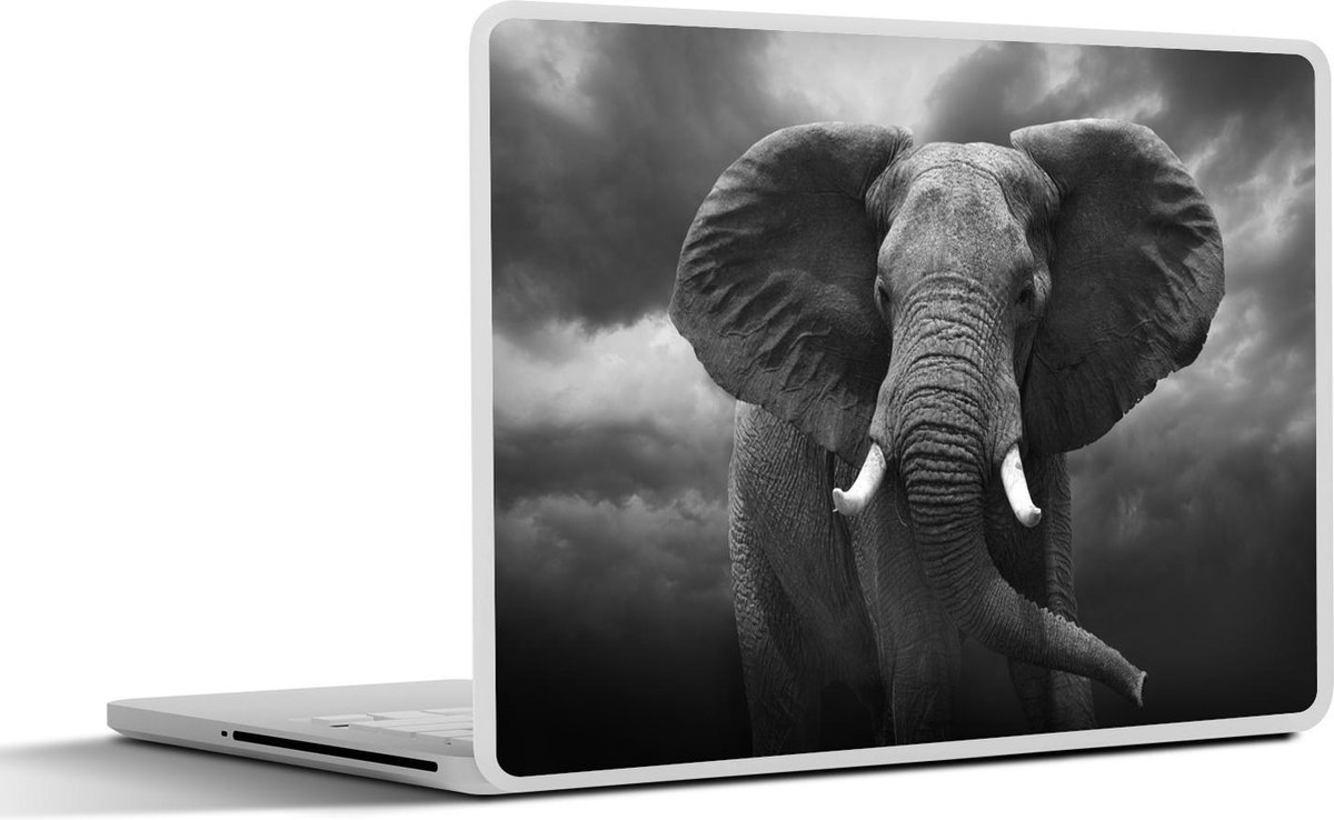 Afbeelding van product SleevesAndCases  Laptop sticker - 12.3 inch - Afrikaanse olifant tegen de donkere wolken - zwart wit