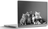 Laptop sticker - 15.6 inch - Kittens - Blauw - Roze - Meisjes - Kinderen - Jongens - Kind - 36x27,5cm - Laptopstickers - Laptop skin - Cover