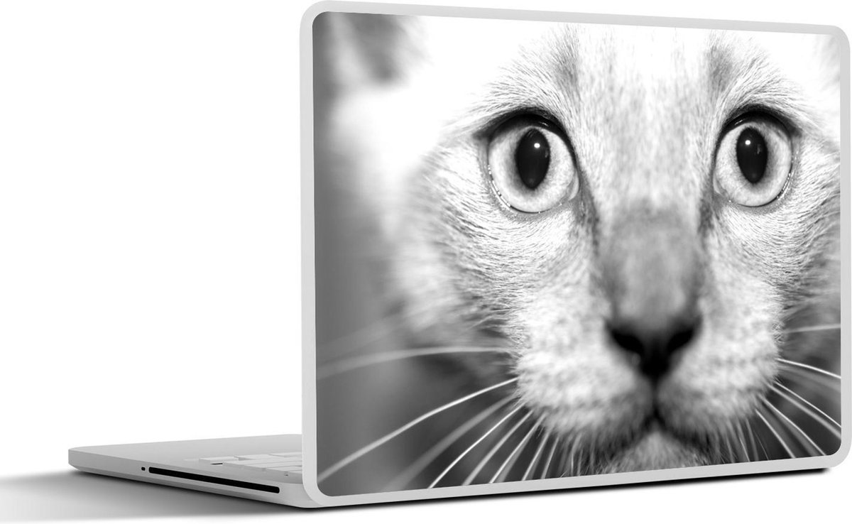 Afbeelding van product SleevesAndCases  Laptop sticker - 15.6 inch - Een Ragdoll kitten met blauwe ogen - zwart wit
