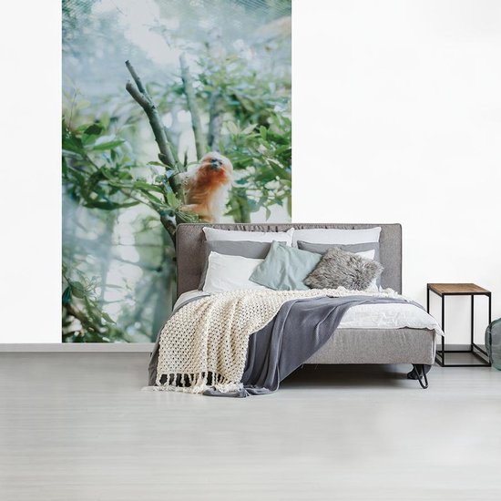 Papier Peint - Papier peint photo Marmotte Pygmée dans un Arbre - Largeur 200 cm x Hauteur 300 cm