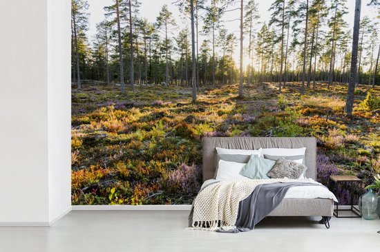 Papier peint Papier peint photo en vinyle - Arbres sur un paysage aux allures de bruyère largeur 600 cm x hauteur 400 cm - Tirage photo sur papier peint (disponible en 7 tailles)