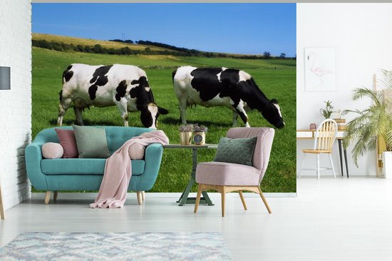 Fond d' écran - Papier peint photo - Deux vaches frisonnes dans l'herbe - Largeur 300 cm x hauteur 240 cm