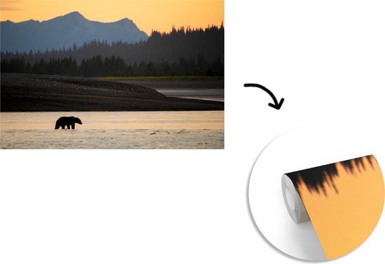 Papier peint photo peint photo vinyle - Ours brun largeur 360 cm x hauteur 240 cm - Tirage photo sur papier peint (disponible en 7 tailles)