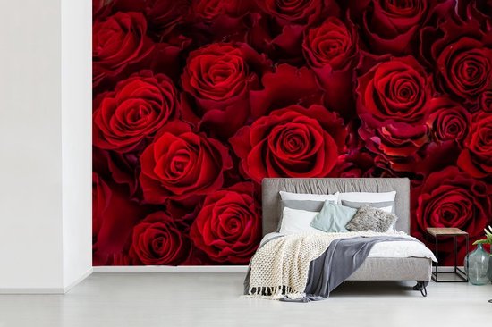 Papier peint photo peint photo vinyle - Roses rouges en fleurs largeur 420 cm x hauteur 280 cm - Tirage photo sur papier peint (disponible en 7 tailles)