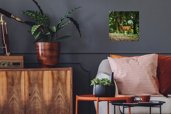 Stickers Stickers muraux - Cerf - Forêt - Animal - 30x30 cm - Film adhésif