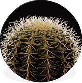 WallCircle - Wandcirkel - Muurcirkel - Een close up van een doornen op cactus op een zwarte achtergrond - Aluminium - Dibond - ⌀ 30 cm - Binnen en Buiten