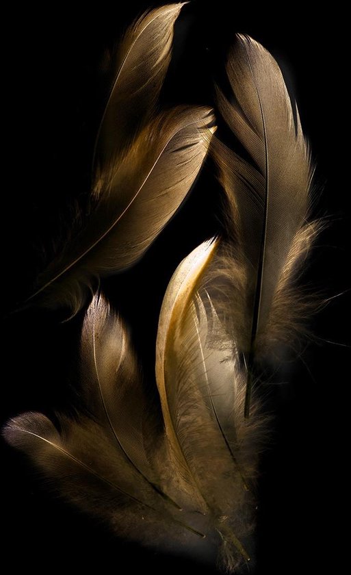 Feathers gold edition - Fotokunst op Plexiglas - Incl. blind ophangsysteem en 5 jaar garantie