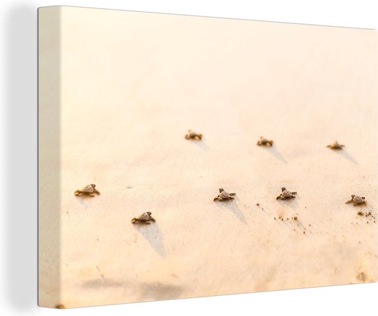 Canvas Schilderij Baby schildpadden fotoprint - 30x20 cm - Wanddecoratie