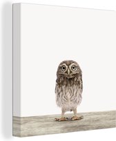 Toile Peinture Animaux - Wit - Hibou - 20x20 cm - Décoration murale