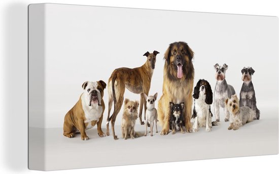 Canvas Schilderij Groepsportret van honden - 40x20 cm - Wanddecoratie