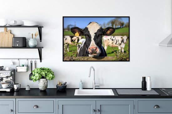 Affiche avec cadre Vache - Clôture - Herbe - Animaux - 90x60 cm