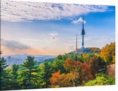De N Tower op de populaire Namsanberg in hartje Seoul - Foto op Canvas - 90 x 60 cm