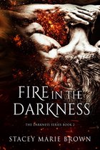 Darkness Series 2 - Fire In The Darkness