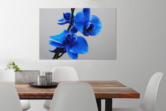 Tableau Peinture Orchidée Bleue - 90x60 cm - Décoration murale