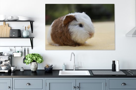 Peinture sur toile Jeune cochon d'Inde - 140x90 cm - Décoration murale