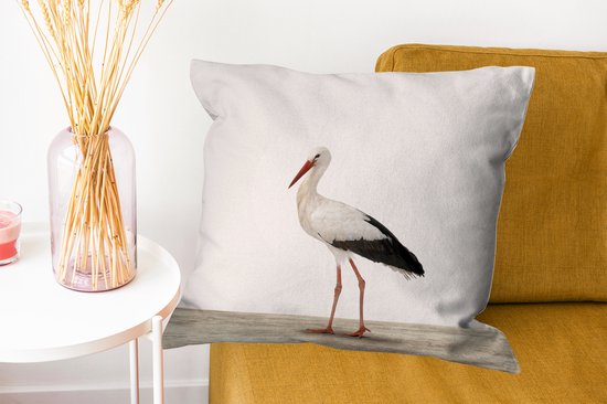 Animaux - Cigogne - Wit