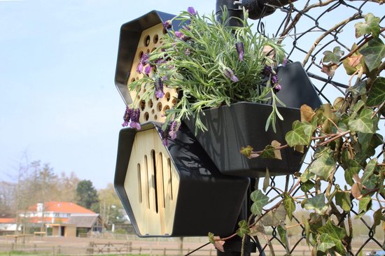 Capi Europe - Vlinderhuisje Hive - 19x23x20 - Antraciet - Capi ...