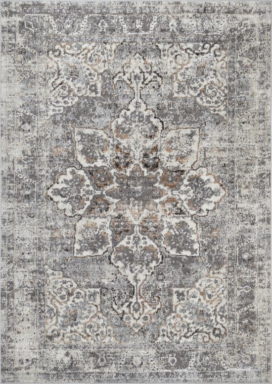 Tapiso Valley Tapis Salon Chambre Gris Clair Cadre Design Moderne Fleurs Durable Vintage Haute Qualité Tapis Taille - 200x300