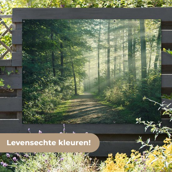 Un sentier forestier avec des rayons de soleil à travers les arbres, accroché à une clôture en bois.