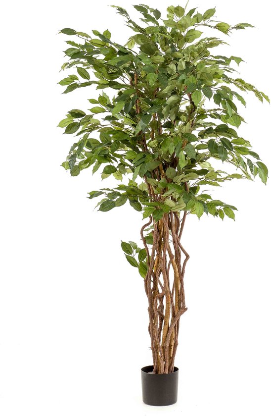 Emerald - Kunstboom Ficus Liana 170cm - Kunstplanten voor binnen