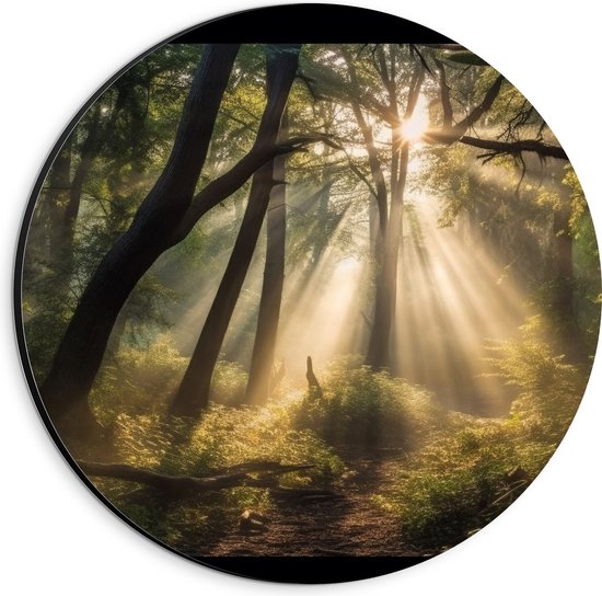 Dibond Muurcirkel - Bos - Planten - Bomen - Zonnestralen - Zon - 20x20 cm Foto op Aluminium Muurcirkel (met ophangsysteem)