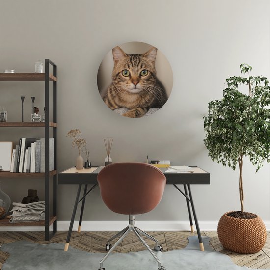 Artaza Forex cercle mural chat aux yeux larges - 40x40 cm - Klein - cercle mural - peinture ronde - cercle de Décoration murale