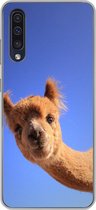 Geschikt voor Samsung Galaxy A50 hoesje - Alpaca - Bruin - Blauw - Siliconen Telefoonhoesje