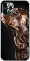 Geschikt voor iPhone 11 Pro hoesje - Hond - Bruin - Portret - Siliconen Telefoonhoesje