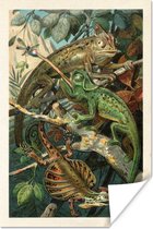 Poster Vintage - Reptielen - Planten - 120x180 cm XXL