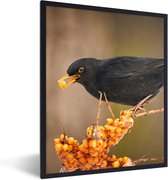 Poster - Fotolijst - Vogel - Merel - Winter - IJs - Bes - 60x80 cm - Poster kader - Wanddecoratie dieren - Poster natuur - Poster vogels - Frame poster