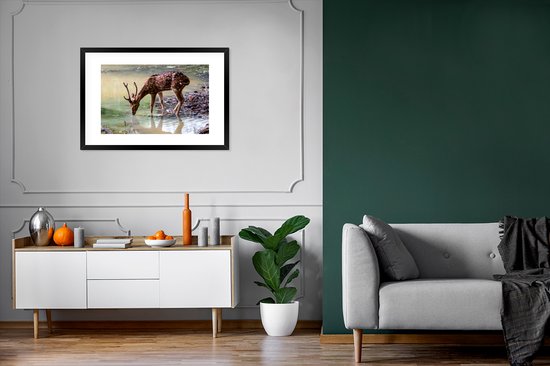 Photo dans le cadre - Boire le cerf d'un ruisseau de forêt cadre photo noir avec passe-partout blanc 60x90 90x60 cm - Affiche dans le cadre (Décoration murale salon / chambre)