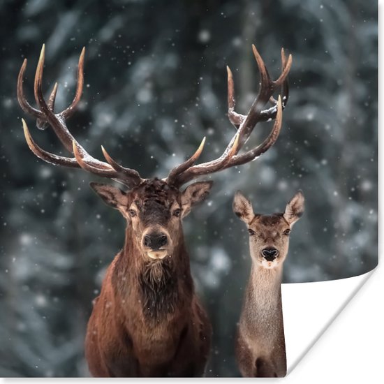 Poster Hert - Dieren - Winter - Gewei - Sneeuw - Natuur - 75x75 cm