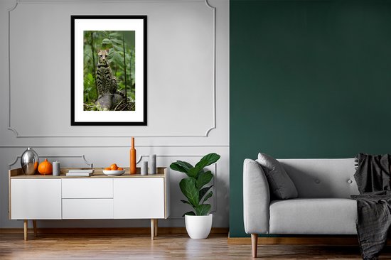 Affiche avec cadre Ocelot du Costa Rica - 60x90 cm