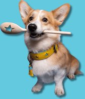 DWAM Dog with a Mission – Halsband hond – Hondenhalsband – Geel – XXS – Leer – Halsomvang tussen 19-24 x 2 cm – Blue Star
